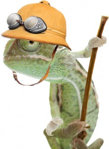 chameleon with safari hat better