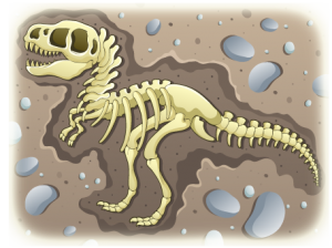 dino fossil in dirt 