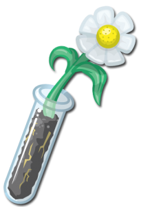 plant in test tube 