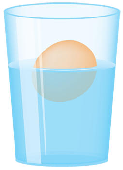 floating-egg