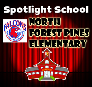 Spotlight-School-n-forest-pines